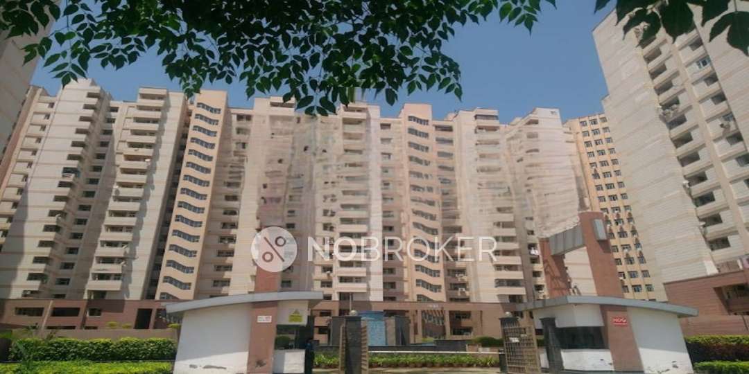 Single Room for Female In 4 BHK  In Elixir Divine Meadows In Sector 108