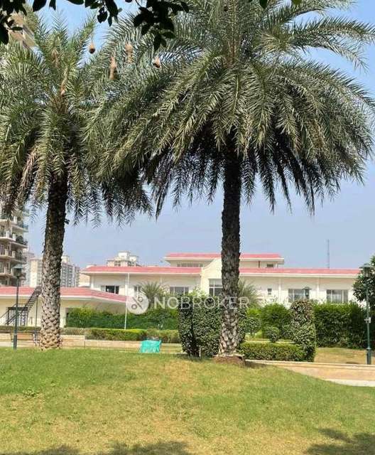 3 BHK Flat In Dlf Express Green M2 For Sale  In Imt Manesar