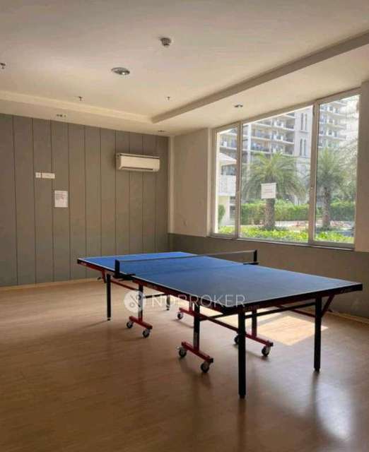 3 BHK Flat In Dlf Express Green M2 For Sale  In Imt Manesar