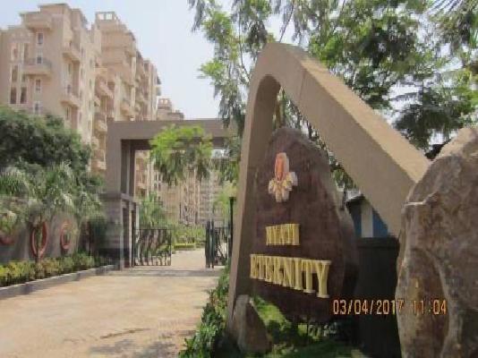 1 BHK Flat In Nyati Eternity for Rent  In Corinthians Club Internal Rd
