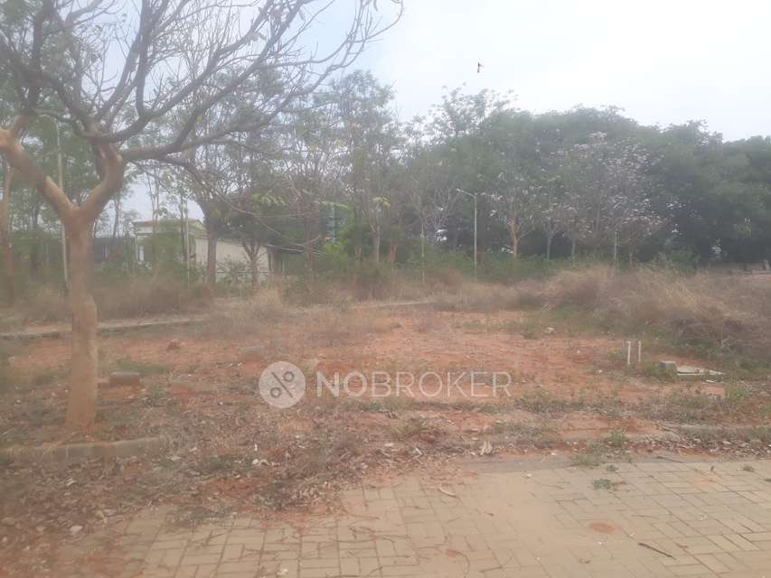 Plot For Sale  In Shettigere