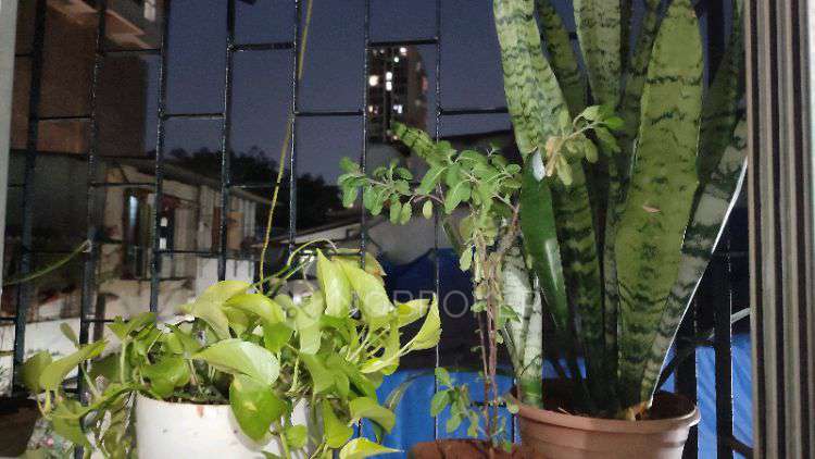 Single Room for Male In 1 BHK  In Saidham Sv Patel Nagar Andheri West In Sai Dhaba