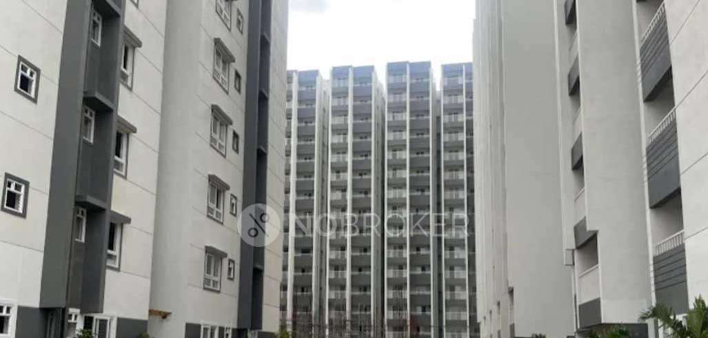 3 BHK Flat In Ds Max Sky Shubham For Sale  In K R Puram