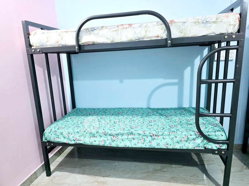 PG for Girls in Basaveshwar Nagar