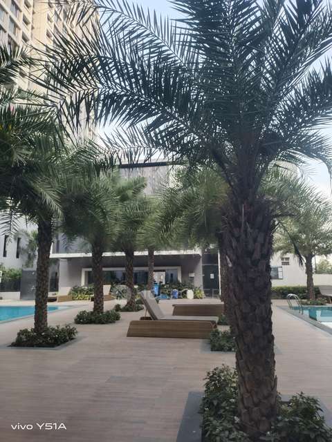 2 BHK Flat In Life Republic Universe For Sale  In Hinjewadi