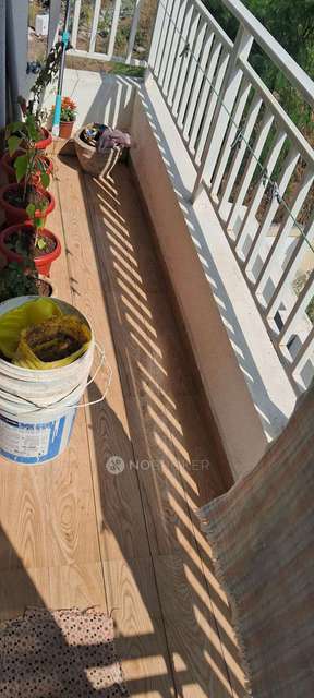 3 BHK Flat In Skky Villa, Wagholi, for Rent  In Sky Villas Phase 3