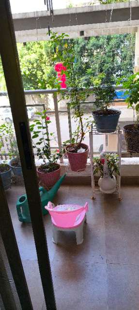 2 BHK Flat In Kanifnath Archana Paradise For Sale  In Mohammadwadi