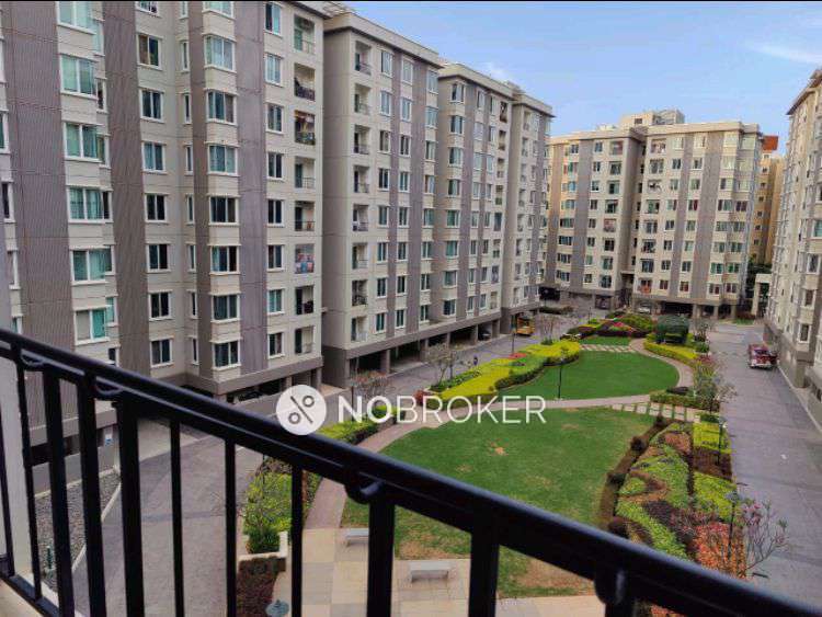 Single Room for Female In 3 BHK  In Enrich Apartment In  Mahadevapura