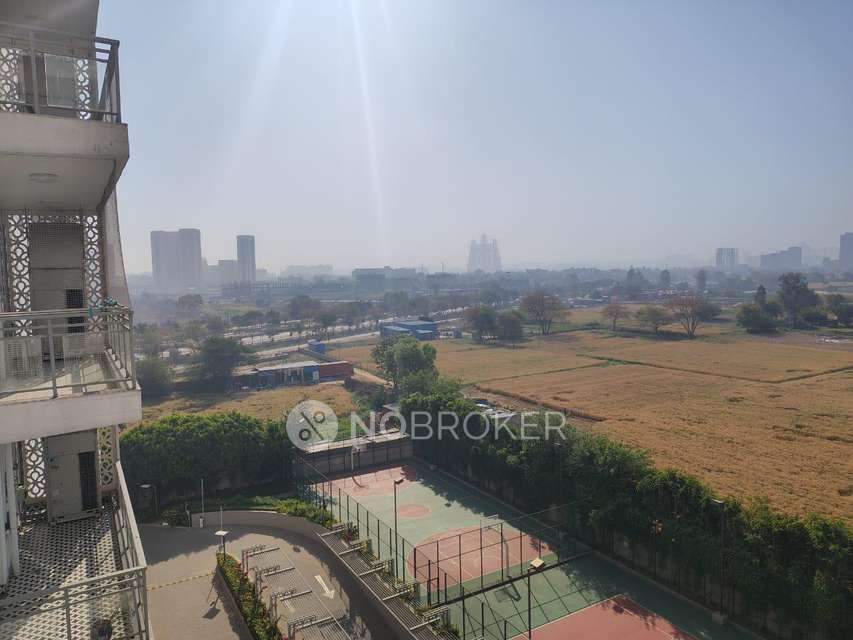 3 BHK Flat In Dlf Ultima, Sector 81 For Sale  In Sector 81