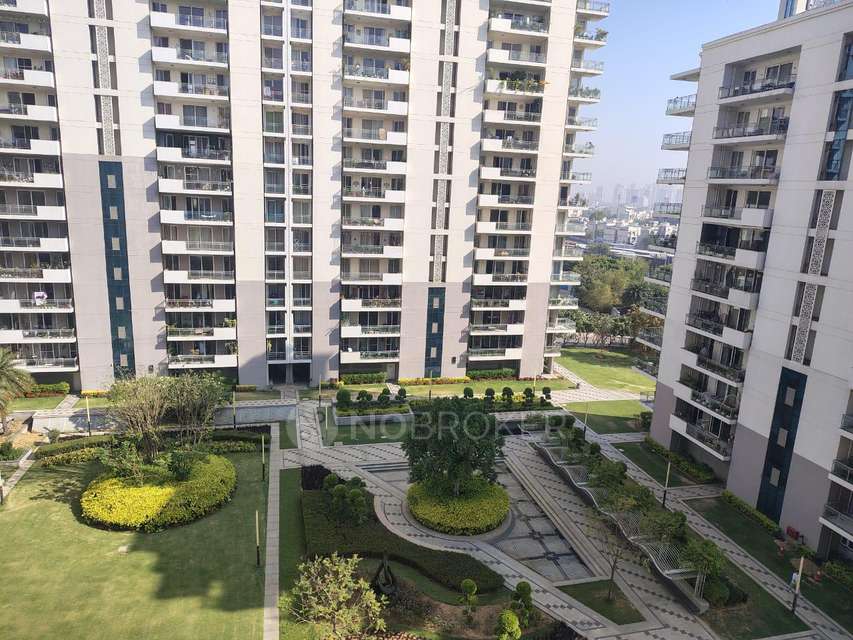 3 BHK Flat In Dlf Ultima, Sector 81 For Sale  In Sector 81