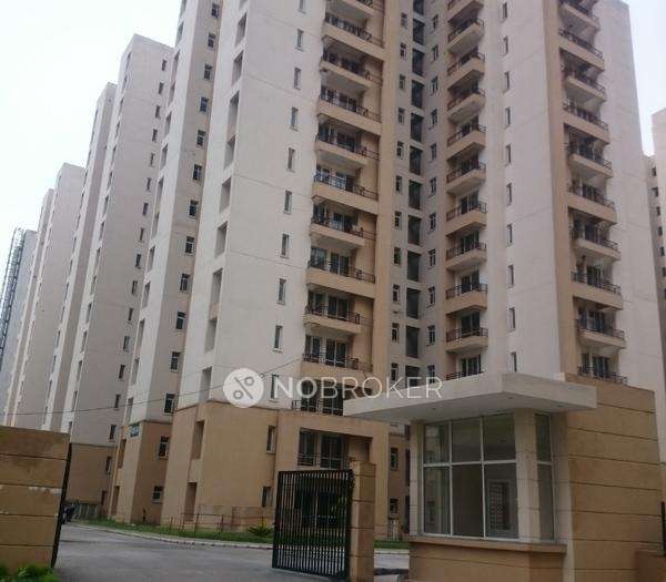 2 BHK Flat In Jaypee Kosmos For Sale  In Sector 134