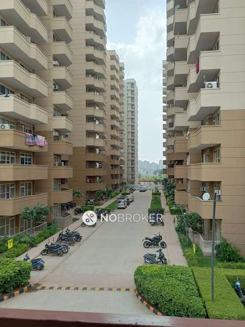 Single Room for Male In 2 BHK  In Pyramid Urban Homes In Sector 70a