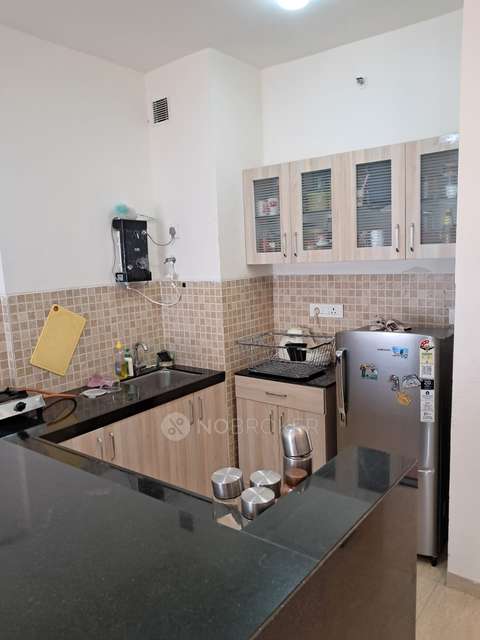 1 BHK Flat In Lodha Belmondo, Gahunje for Rent  In Gahunje