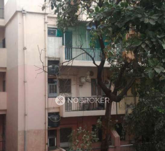 2 BHK Flat In Gh-13 Apartment  for Rent  In  Paschim Vihar