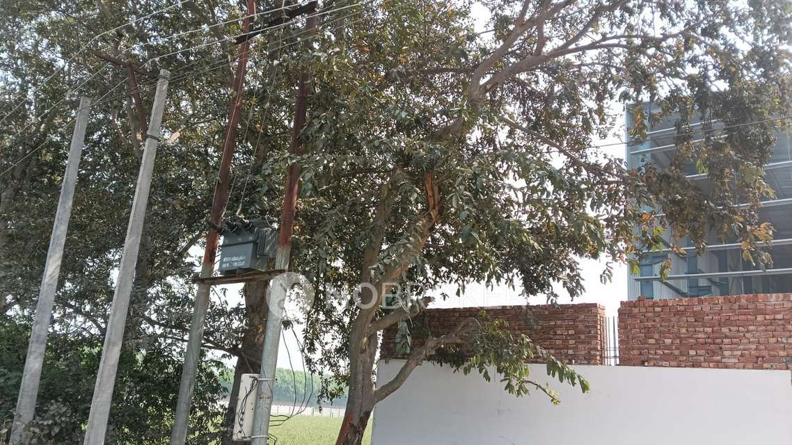 Industrial Shed in Mithila Vihar Cloney, Greater Noida for Rent 