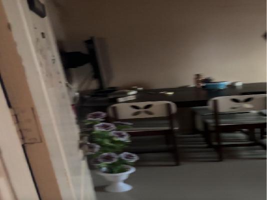 2 BHK Flat In Shiv Sai Residency for Rent  In Pimpri-chinchwad