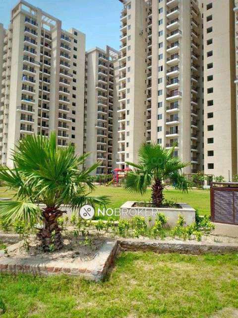 Single Room for Male In 2 BHK  In Mulberry County