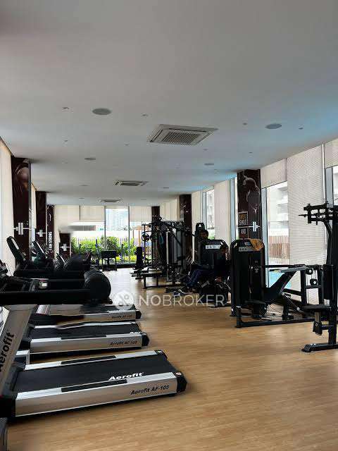 3 BHK Flat In Vtp Leonara for Rent  In Vtp Leonara, Pune, Maharashtra 411045, India