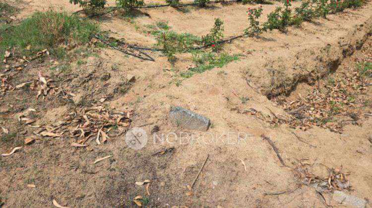 Plot For Sale  In Chickballapur Private Bustand