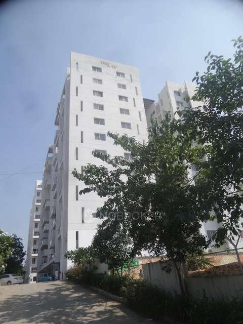 2 BHK Flat In The Turf for Rent In Ghorpadi