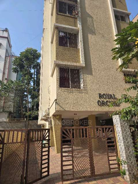Single Room for Male In 1 BHK  In Royal Orchid In Baner