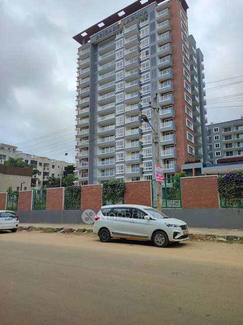 3 BHK Flat In Brigade Laguna for Rent  In Jakkur