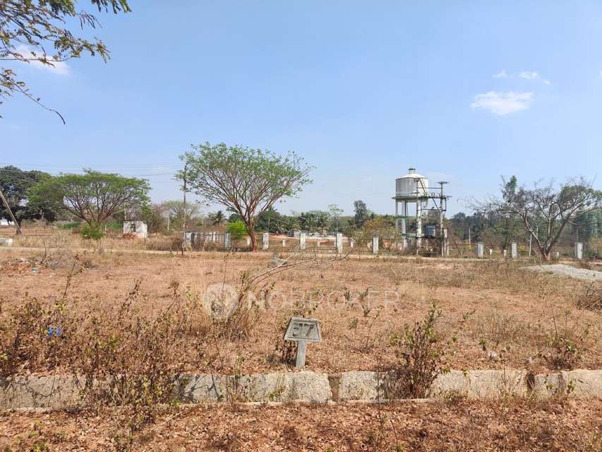 Plot For Sale  In Armanza Enclave In Armanza Enclave