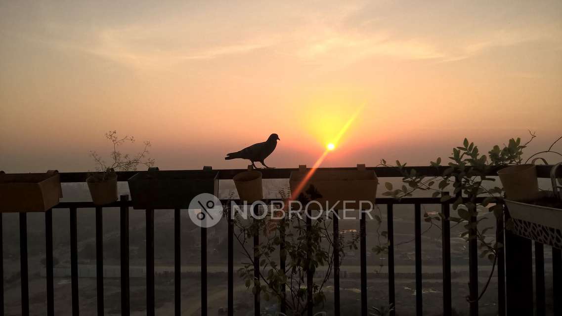 3 BHK Flat In Rainbow Vistas, Rainbow Vistas @ Rock Garden &#40;phase 2&#41;, Ward 115 Balaji Nagar, Greater Hyderabad Municipal Corporation West Zone, Hyderabad, Kukatpally Mandal, Medchal?malkajgiri, Telangana, 500018, India, Hitech City For Sale  In Hitech City