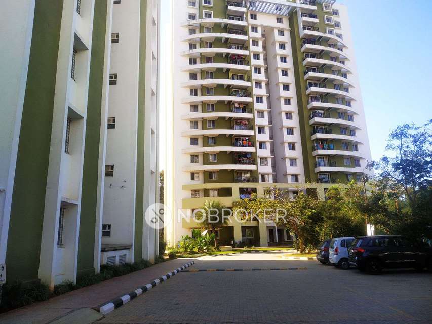 Single Room for  In 3 BHK  In Purva Skywoods In Haralur