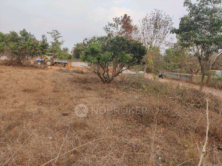 Plot For Sale  In Kingston County In  Doddenahalli, 