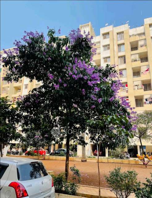 2 BHK Flat In Dr Gavhane Ankur for Rent  In Charholi Budruk