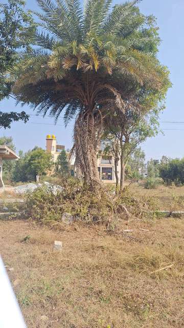 Plot For Sale  In White Garden Malur In White Garden