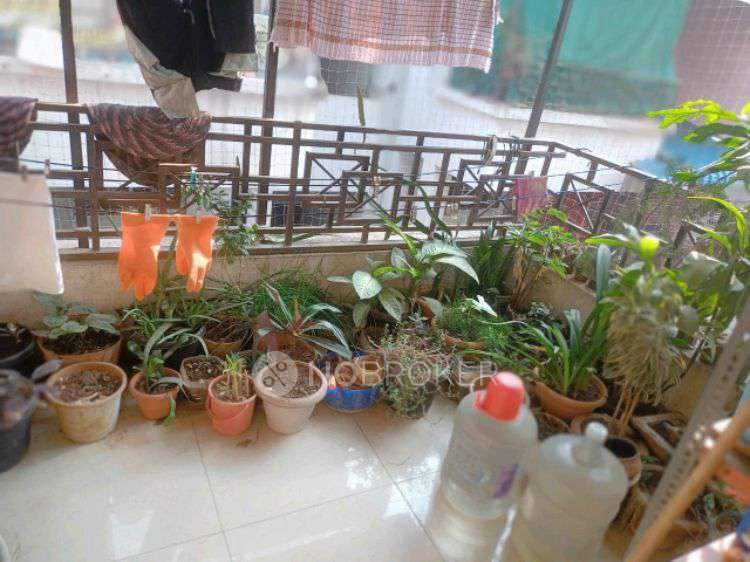 2 BHK Flat In Platinum Park A Wing Narhe For Sale  In Manaji Nagar