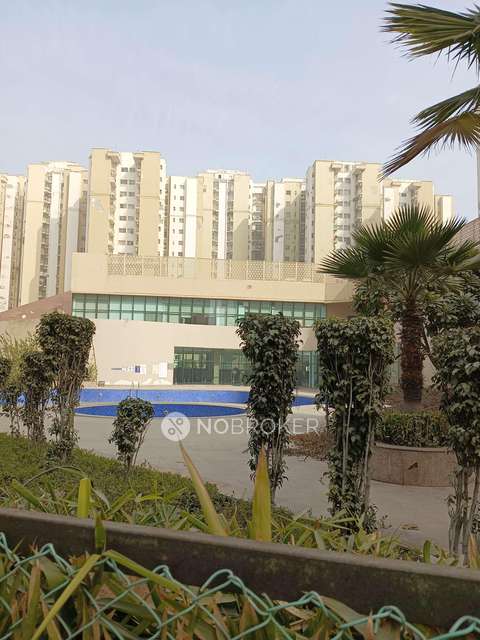 2 BHK Flat In Paras Tierea For Sale  In Sector 137