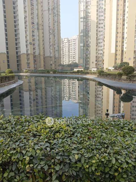 2 BHK Flat In Paras Tierea For Sale  In Sector 137