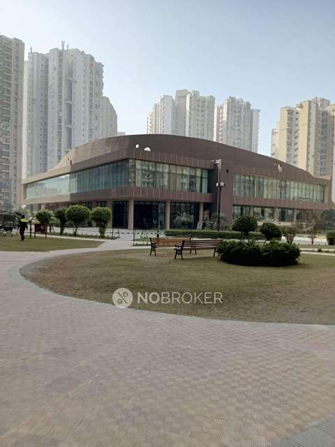 2 BHK Flat In Paras Tierea For Sale  In Sector 137