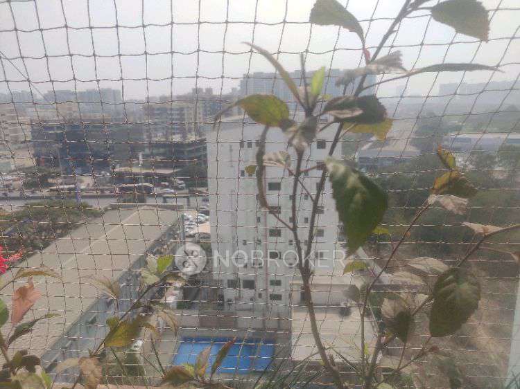 2 BHK Flat In Rivaah Regency for Rent  In Wagholi