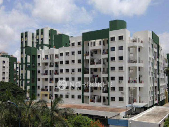 Shared Room for Female In 2 BHK  In Grevillia In Grevillea