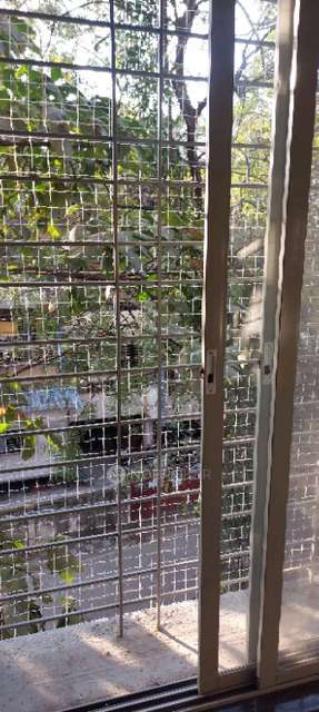 3 BHK Flat In Samruddhee Sunview Chsl for Rent  In Pimpri-chinchwad