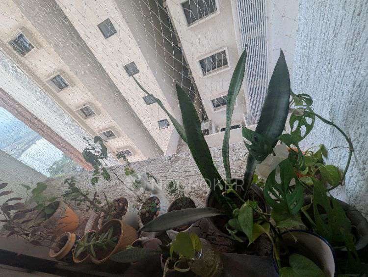 Single Room for Female In 3 BHK  In Duville Riverdale Residences I In Kharadi