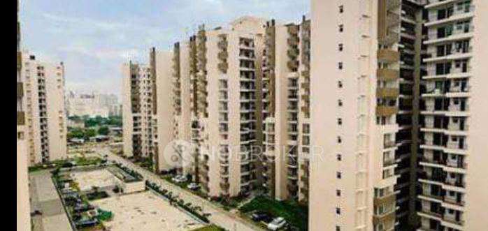 Single Room for  In 3 BHK  In Ajnara Homes In Sector 16