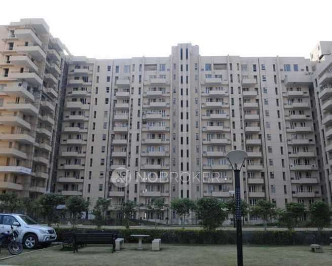 4+ BHK Flat In  Galaxy Apartment-1 for Rent  In Sector 43