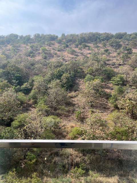 2 BHK Flat In Highpoint Itrend Homes Phase 2, Hinjawadi for Rent  In Hinjawadi