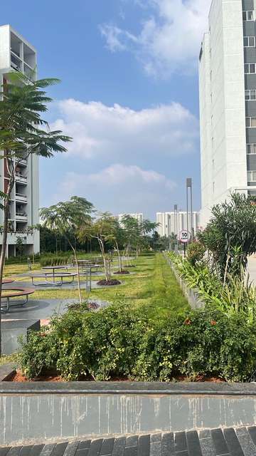 3 BHK Flat In Bricks & Milestones Wonderwall for Rent  In Sarjapura