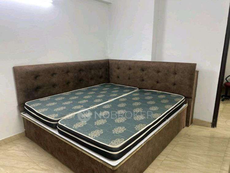 Single Room for Female In 2 BHK  In Amrapali Golf Homes In Noida Extension