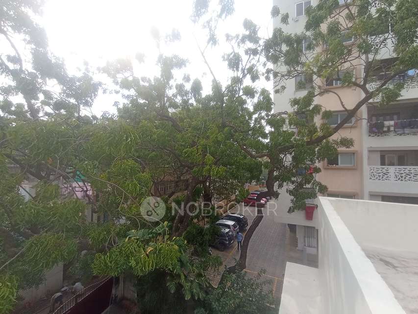 3 BHK House For Sale  In  Kilpauk