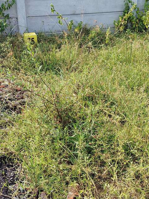 Godown/Warehouse in Red Hills, Chennai for Rent 