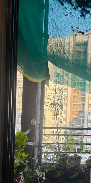 2 BHK Flat In Silver Springs,  Wagholi, Pune for Rent  In  Wagholi, Pune