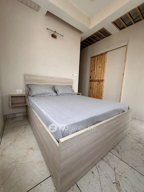 PG for Girls in Sector 130