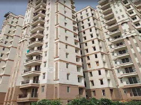 3 BHK Flat In Ramprastha City The Atrium For Sale  In Sector 37d
